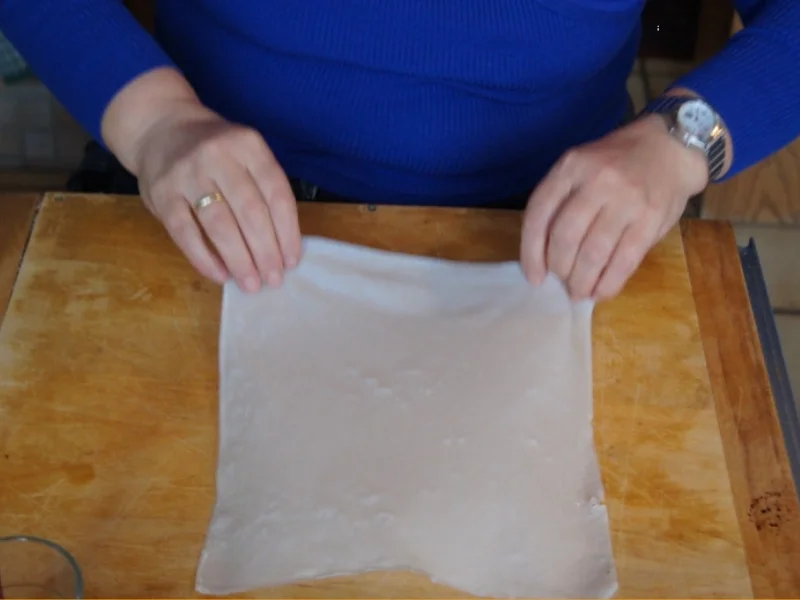 Frühlingsrollen mit pikanter Füllung - Rezept - Bild Nr. 3453