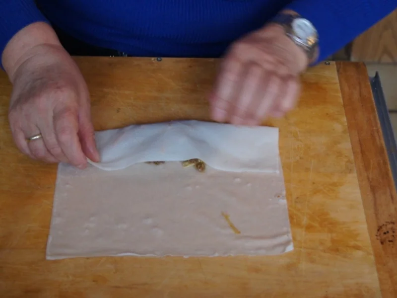 Frühlingsrollen mit pikanter Füllung - Rezept - Bild Nr. 3454