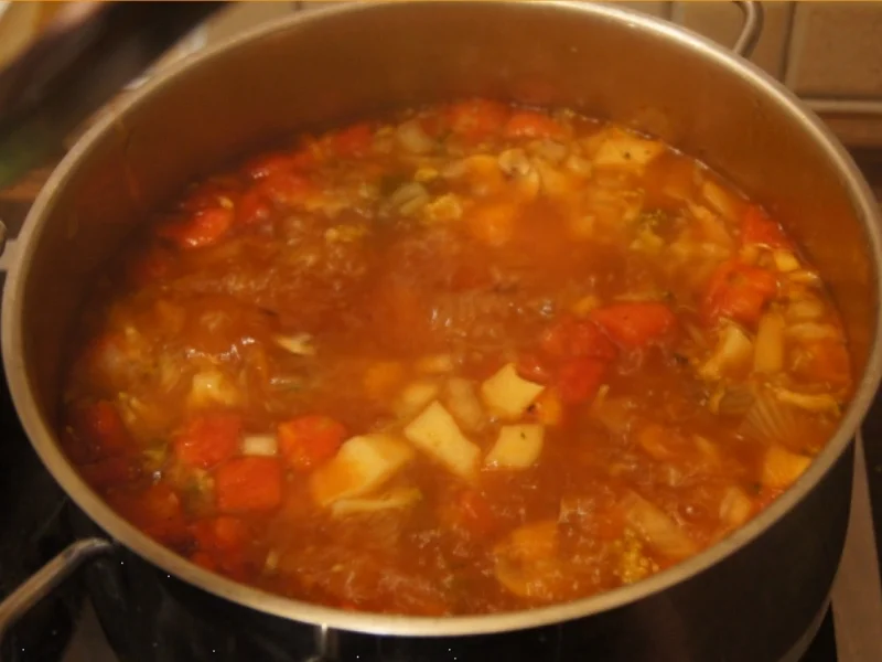 SOS-Suppe mit 7 Schlankmachern - Rezept - Bild Nr. 3465