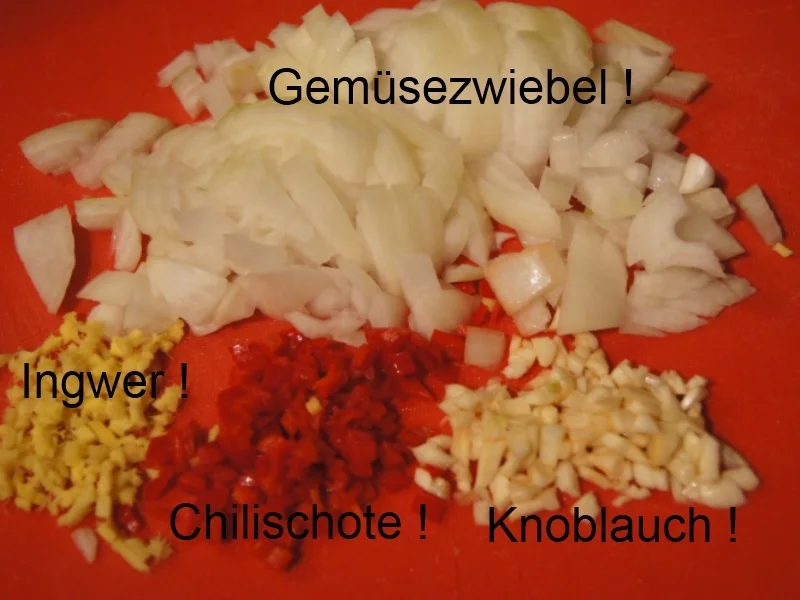 Rezept: Hühnersuppe mit Gemüse und Kräutern Bild Nr. 3498 Hühnersuppe mit Gemüse und Kräutern - Rezept - Bild Nr. 3498