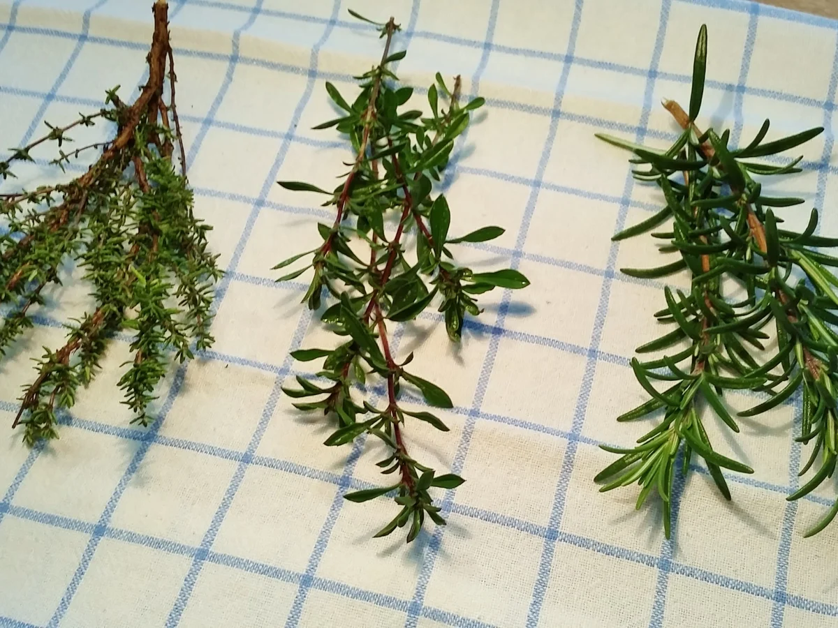 Rezept: Gänse-Pfanne Bild Nr. 3526 Gänse-Pfanne - Rezept - Bild Nr. 3526