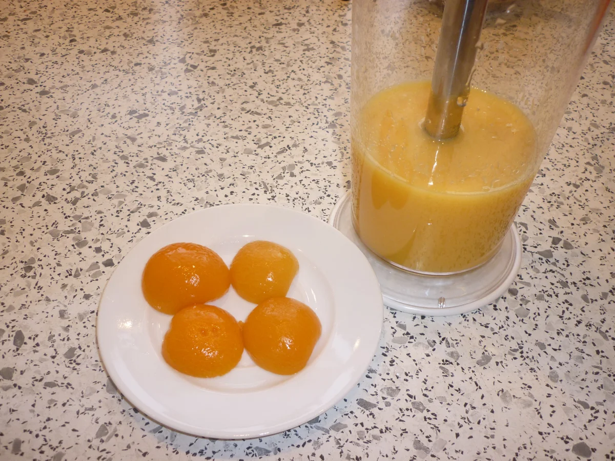 Putenschnitzelchen mit Aprikosen - Lauchzwiebelgemüse - Rezept - Bild Nr. 3583