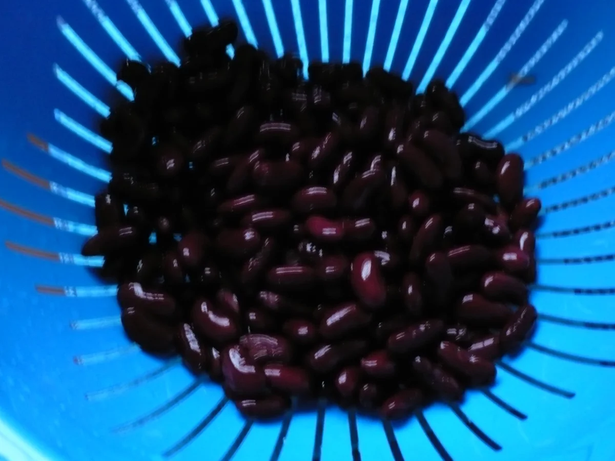 Scharfe Mitternachtssuppe - Rezept - Bild Nr. 3599