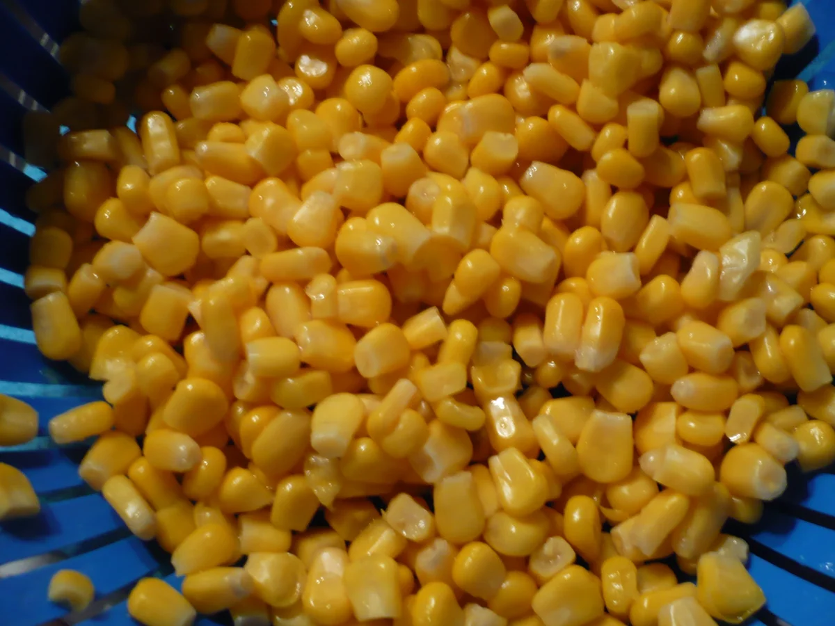 Scharfe Mitternachtssuppe - Rezept - Bild Nr. 3601