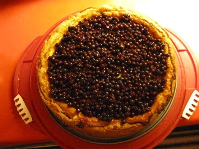 Käsekuchen mit Heidelbeeren - Rezept - Bild Nr. 3683