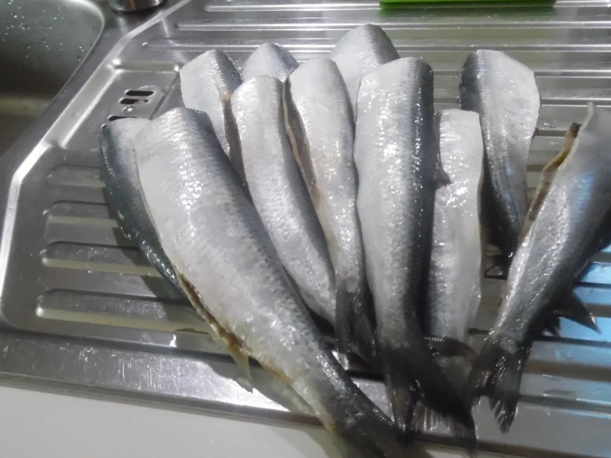 Bratheringe - Rezept - Bild Nr. 3700