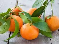 Rezept: Mandarinen Gelee, mit Ingwer und Kurkuma Bild Nr. 3700 Mandarinen Gelee, mit Ingwer und Kurkuma - Rezept - Bild Nr. 3700