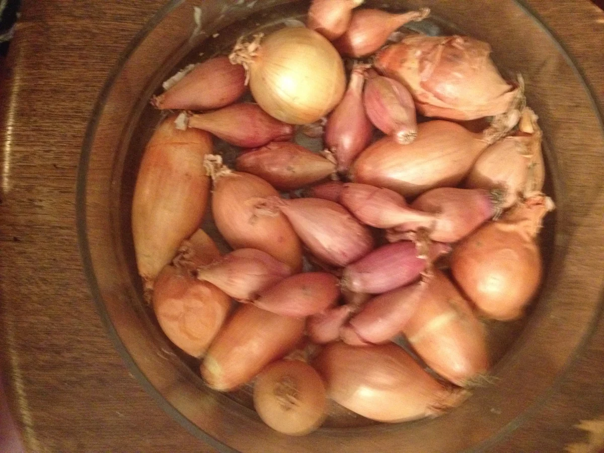 Rezept: Spinat-Ziegenkäsetarte mit Schalottenkompott Bild Nr. 3714 Spinat-Ziegenkäsetarte mit Schalottenkompott - Rezept - Bild Nr. 3714