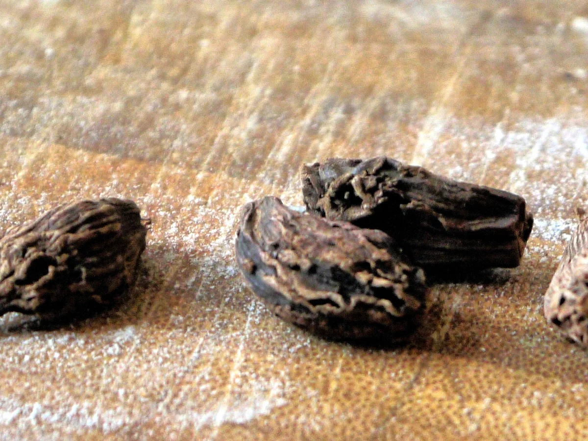 Linsen-Hähnchen-Korma - Rezept - Bild Nr. 3754