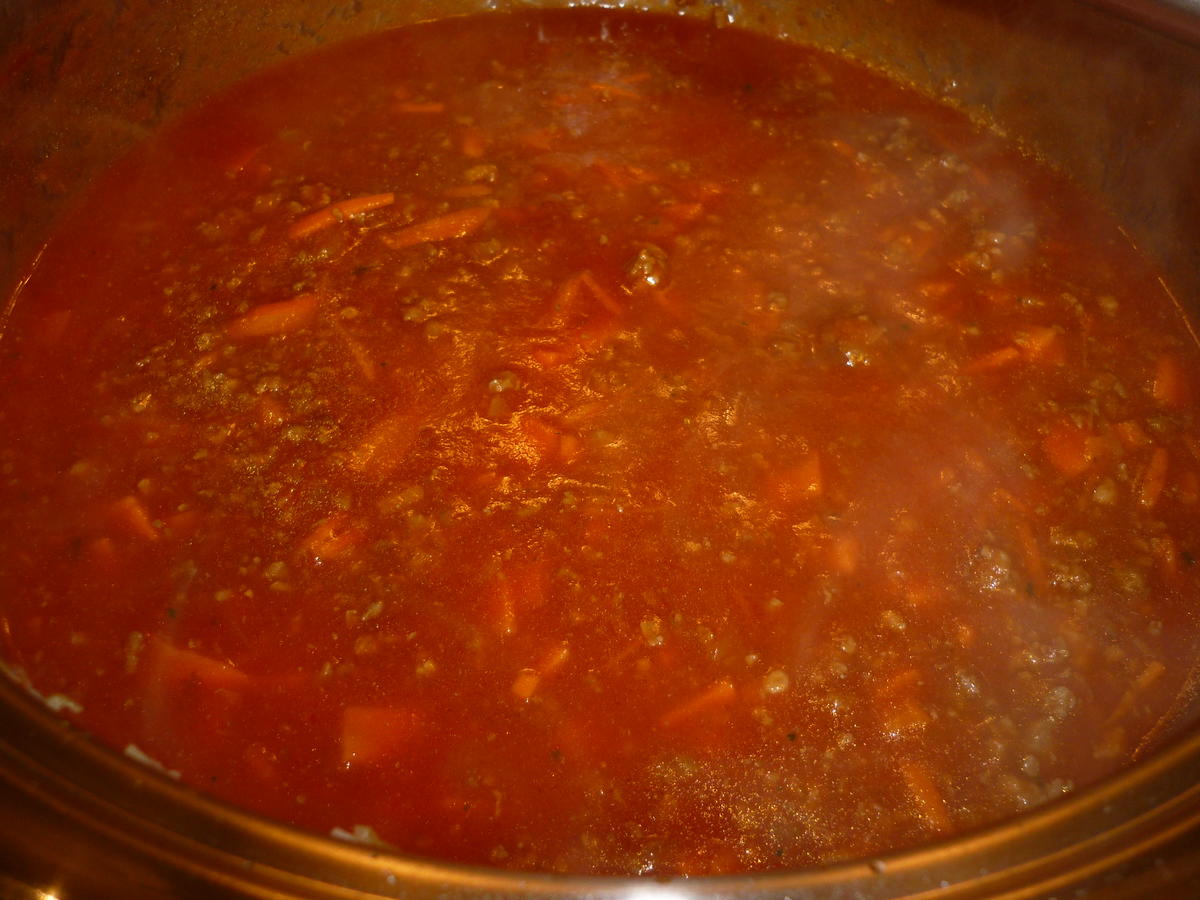 Spaghetti mit Tomaten - Hackfleisch - Soße  - Rezept - Bild Nr. 3717