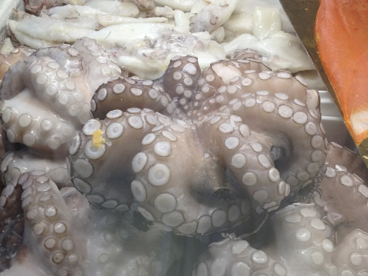 Rezept: Scharfer Oktopus Bild Nr. 3713 Scharfer Oktopus - Rezept - Bild Nr. 3713