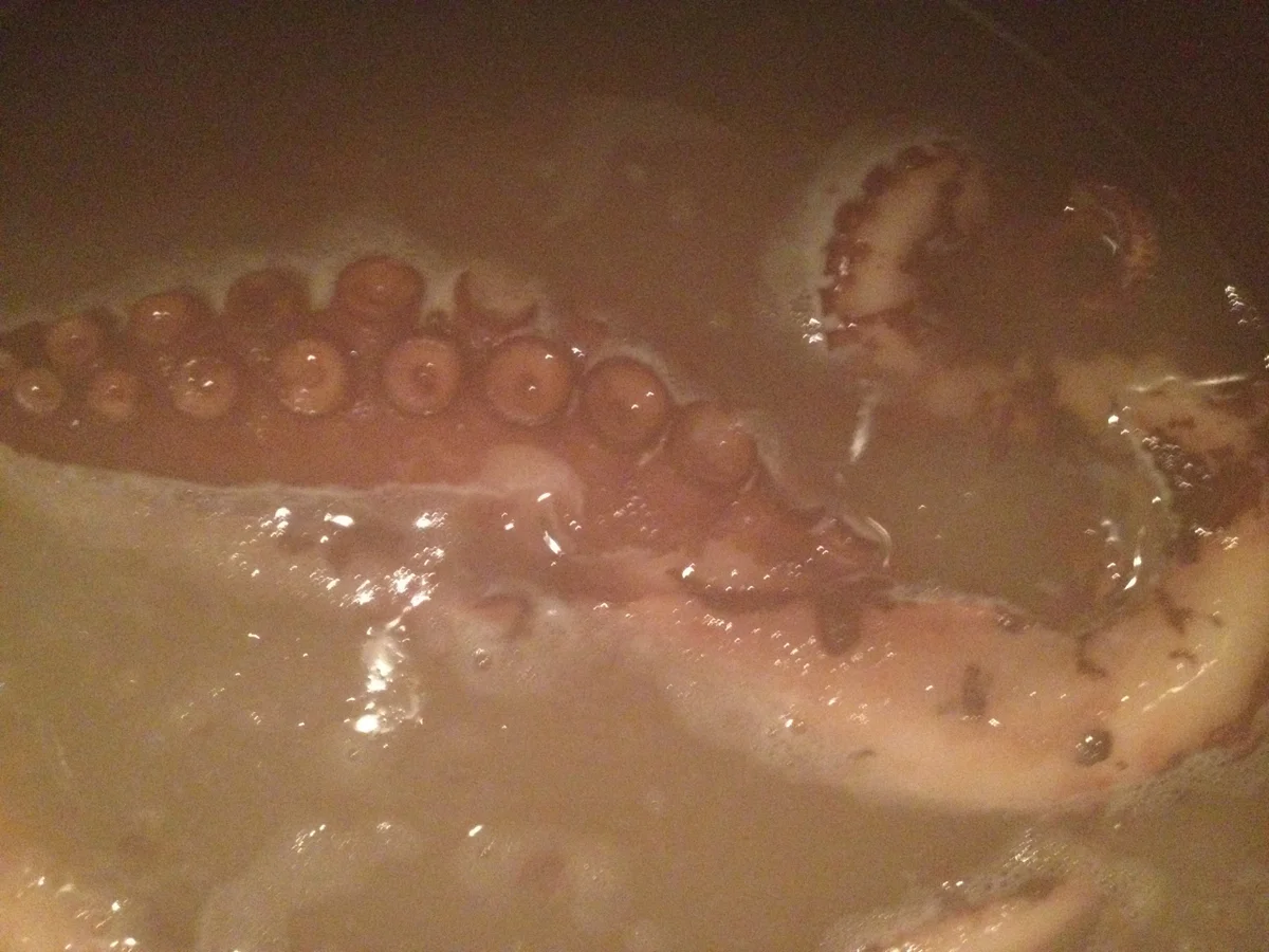 Rezept: Scharfer Oktopus Bild Nr. 3714 Scharfer Oktopus - Rezept - Bild Nr. 3714