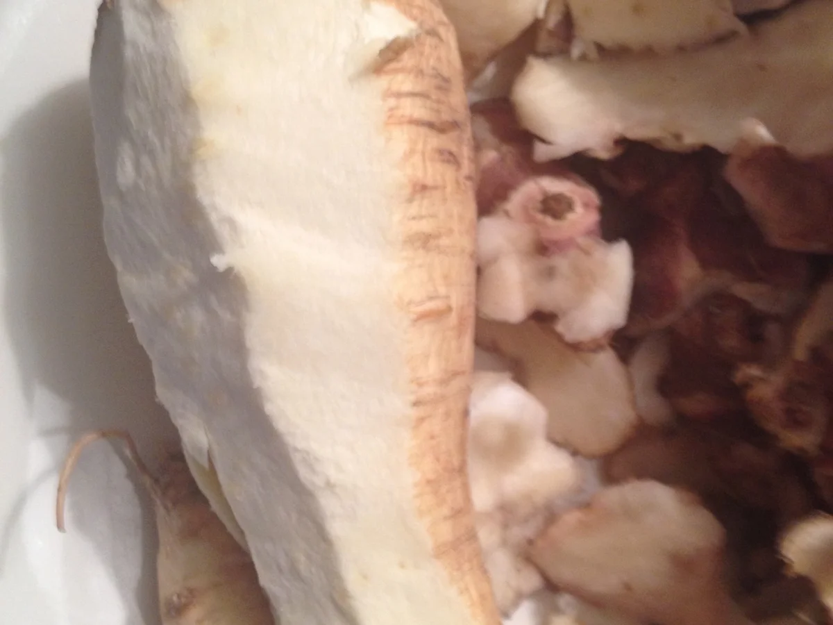 Rezept: Tompinampur- capuccino(Cremesuppe) Bild Nr. 3741 Tompinampur- capuccino(Cremesuppe) - Rezept - Bild Nr. 3741