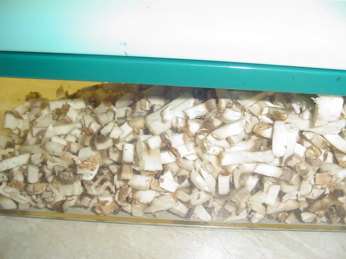 Ravioli  Funghi - Rezept - Bild Nr. 3785