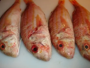 Rote Meerbarbe auf Mangold und Radicchio - Rezept - Bild Nr. 4