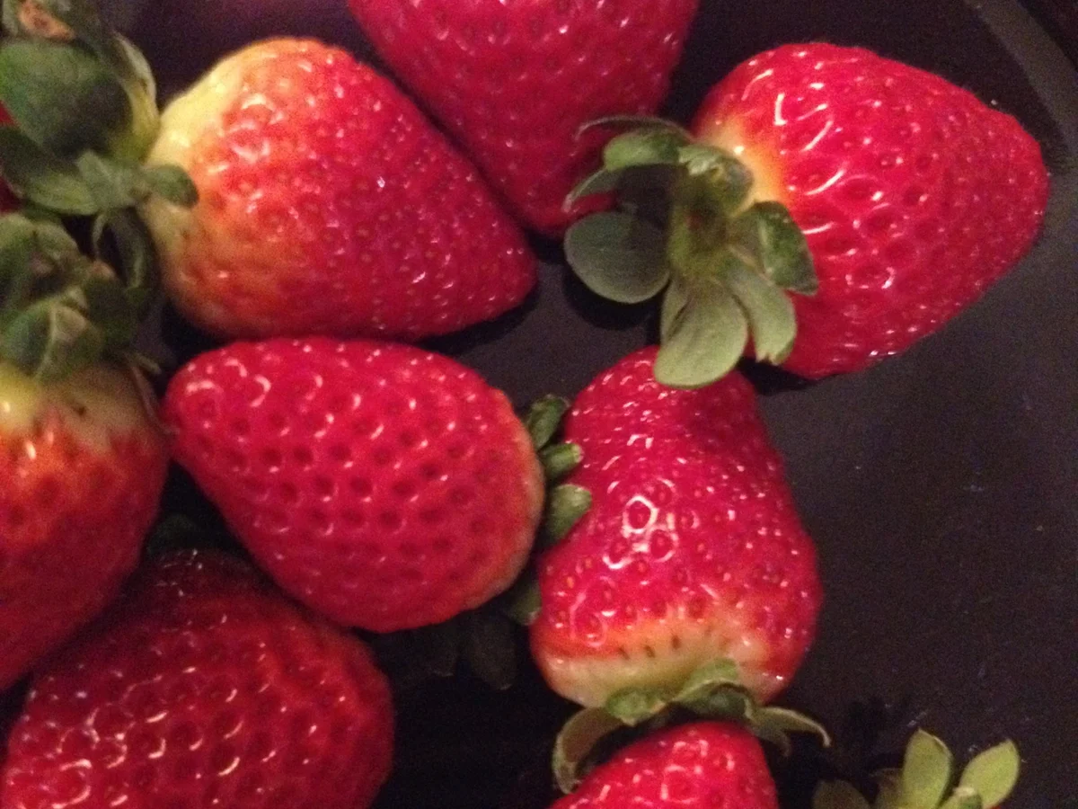 Rezept: Mousse au Chocolat mit Pfefferbeeren und Erdbeersauce Bild Nr. 3815 Mousse au Chocolat mit Pfefferbeeren und Erdbeersauce - Rezept - Bild Nr. 3815