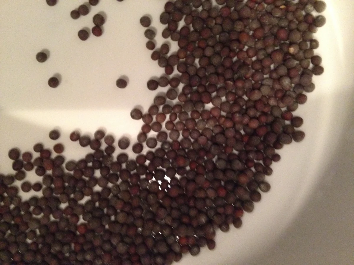 Rezept: Ayurvedische Kartoffeln Bild Nr. 3820 Ayurvedische Kartoffeln - Rezept - Bild Nr. 3820