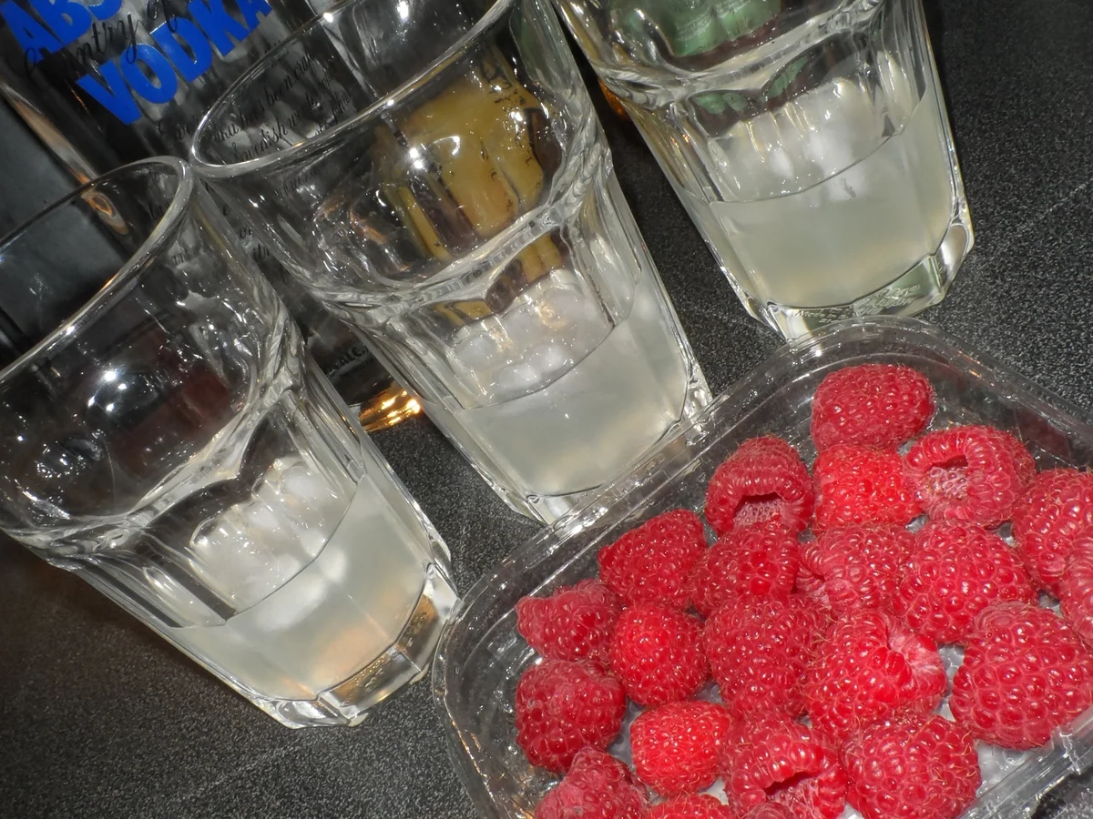 BiNe` S ABSOLUT HIMBEER - Rezept - Bild Nr. 3851