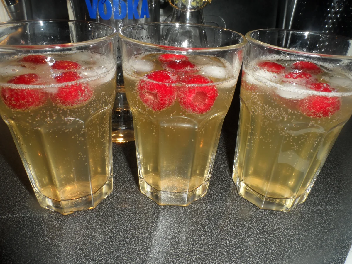 BiNe` S ABSOLUT HIMBEER - Rezept - Bild Nr. 3853