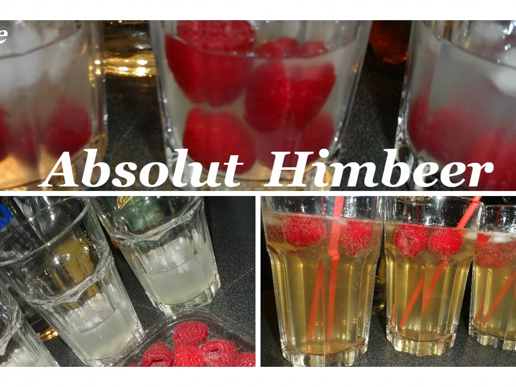 BiNe` S ABSOLUT HIMBEER - Rezept - Bild Nr. 3855