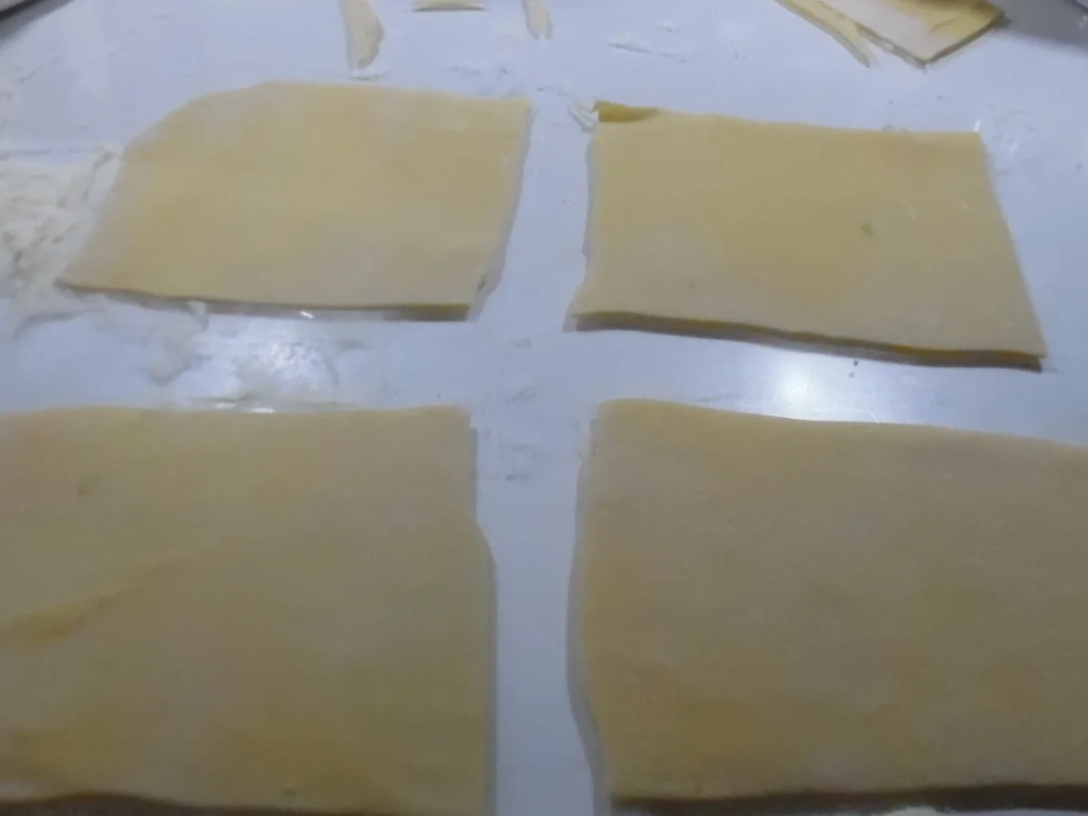 Cannelloni mit Kalbfleisch-Spinat-Füllung - Rezept - Bild Nr. 3859