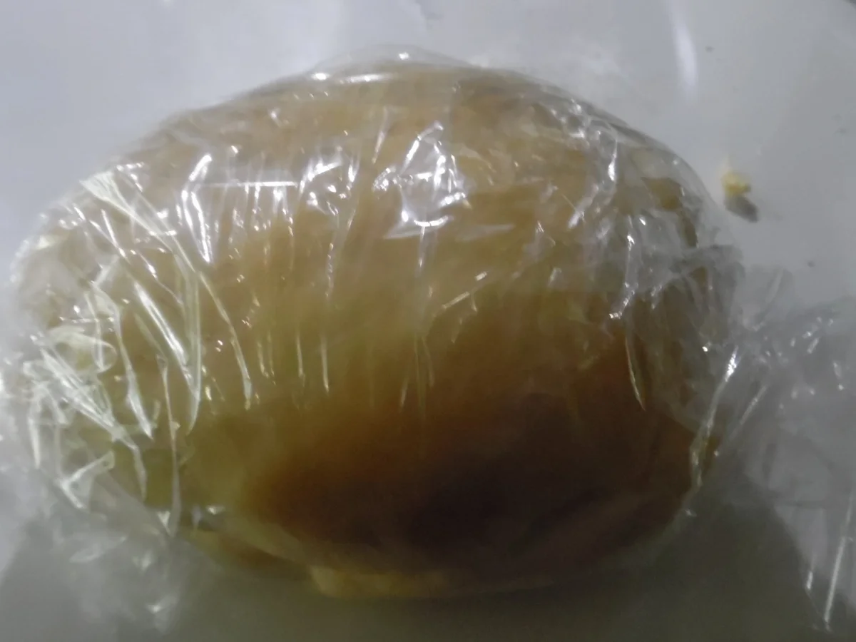 Cannelloni mit Kalbfleisch-Spinat-Füllung - Rezept - Bild Nr. 3877