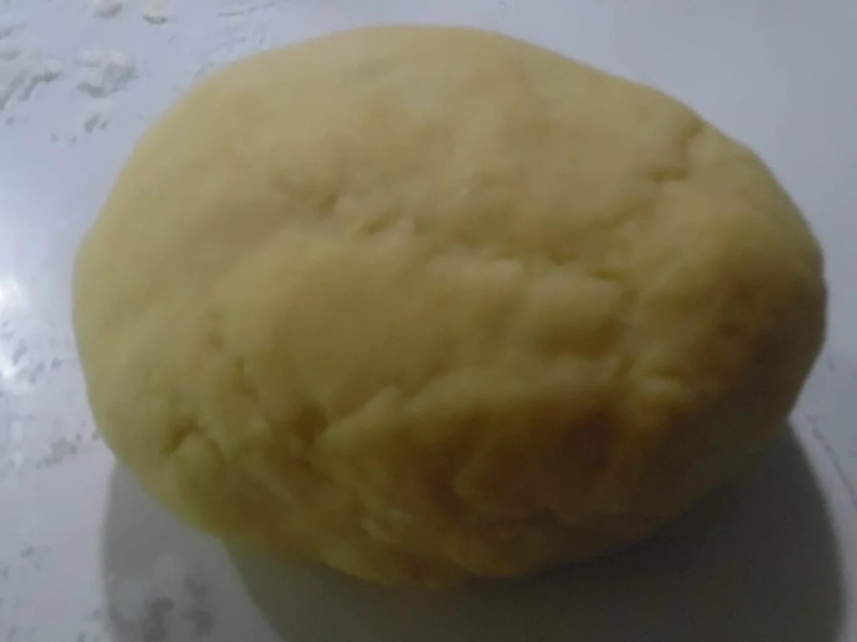 Cannelloni mit Kalbfleisch-Spinat-Füllung - Rezept - Bild Nr. 3878