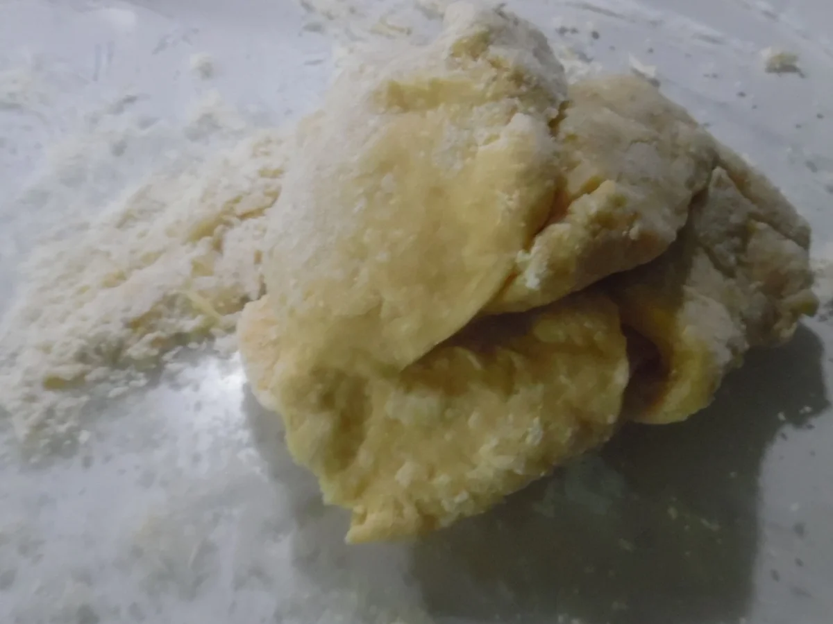 Cannelloni mit Kalbfleisch-Spinat-Füllung - Rezept - Bild Nr. 3879