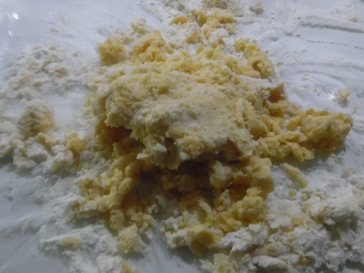 Cannelloni mit Kalbfleisch-Spinat-Füllung - Rezept - Bild Nr. 3880