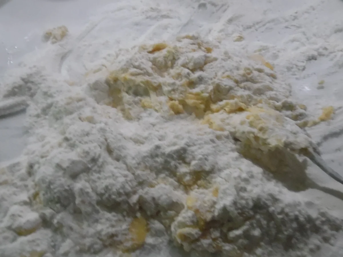 Cannelloni mit Kalbfleisch-Spinat-Füllung - Rezept - Bild Nr. 3881