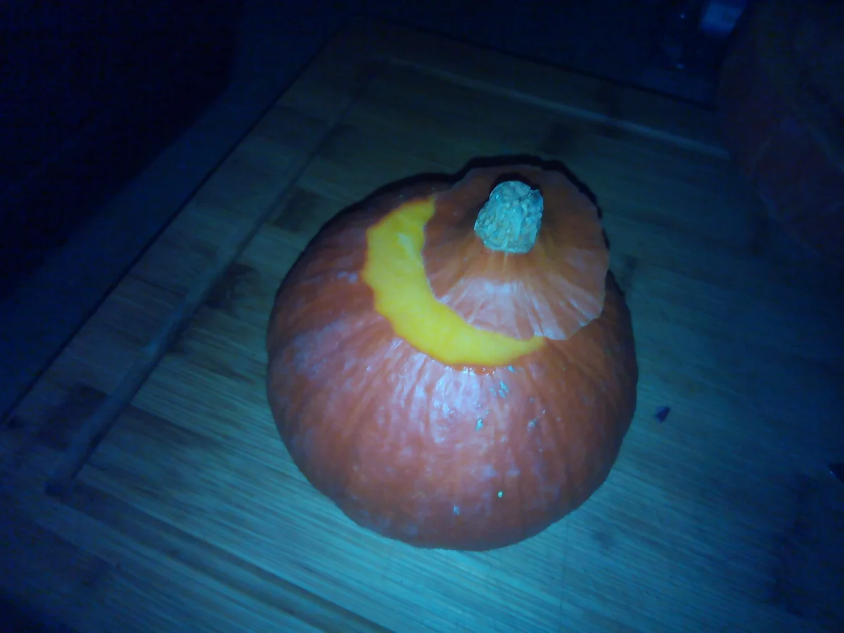 Kürbis ala Delphinchen - Rezept - Bild Nr. 3855