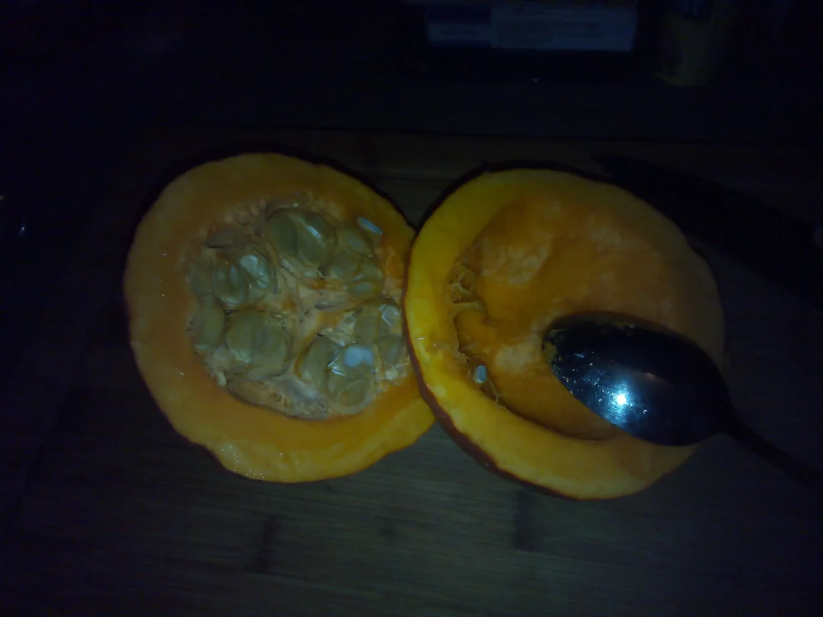 Kürbis ala Delphinchen - Rezept - Bild Nr. 3856