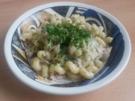 Pasta a la Carbonara - Rezept - Bild Nr. 3872