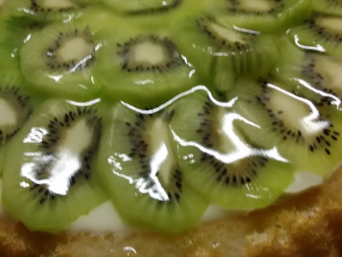 Rezept: Tortenboden mit Kiwi Bild Nr. 3880 Tortenboden mit Kiwi - Rezept - Bild Nr. 3880