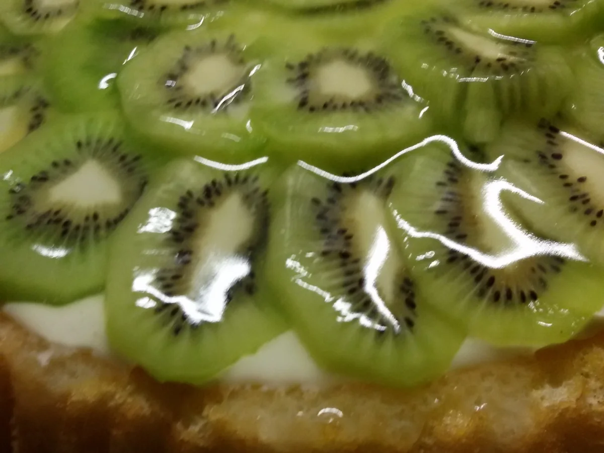 Rezept: Tortenboden mit Kiwi Bild Nr. 3881 Tortenboden mit Kiwi - Rezept - Bild Nr. 3881