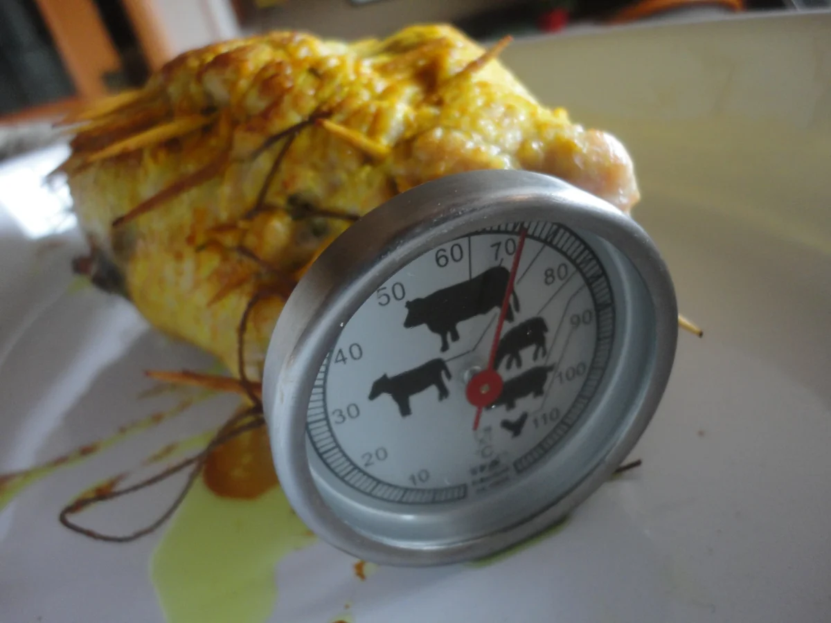 Gefüllter Putenbraten mit Steinpilzsauce - Rezept - Bild Nr. 3911