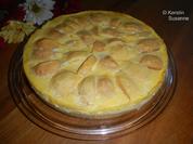 Guss-Apfelkuchen - Rezept - Bild Nr. 3950