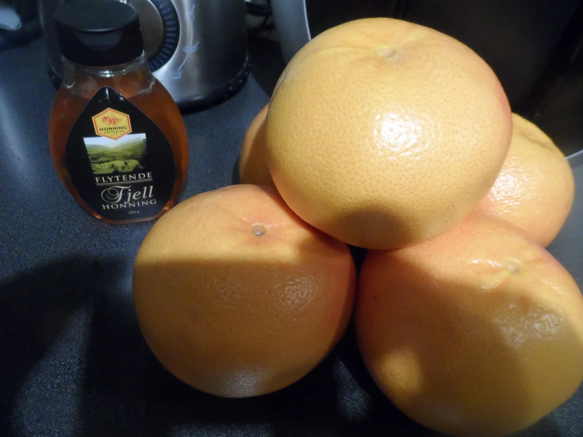 Rezept: BiNe` S GRAPEFRUITSIRUP Bild Nr. 3962 BiNe` S GRAPEFRUITSIRUP - Rezept - Bild Nr. 3962