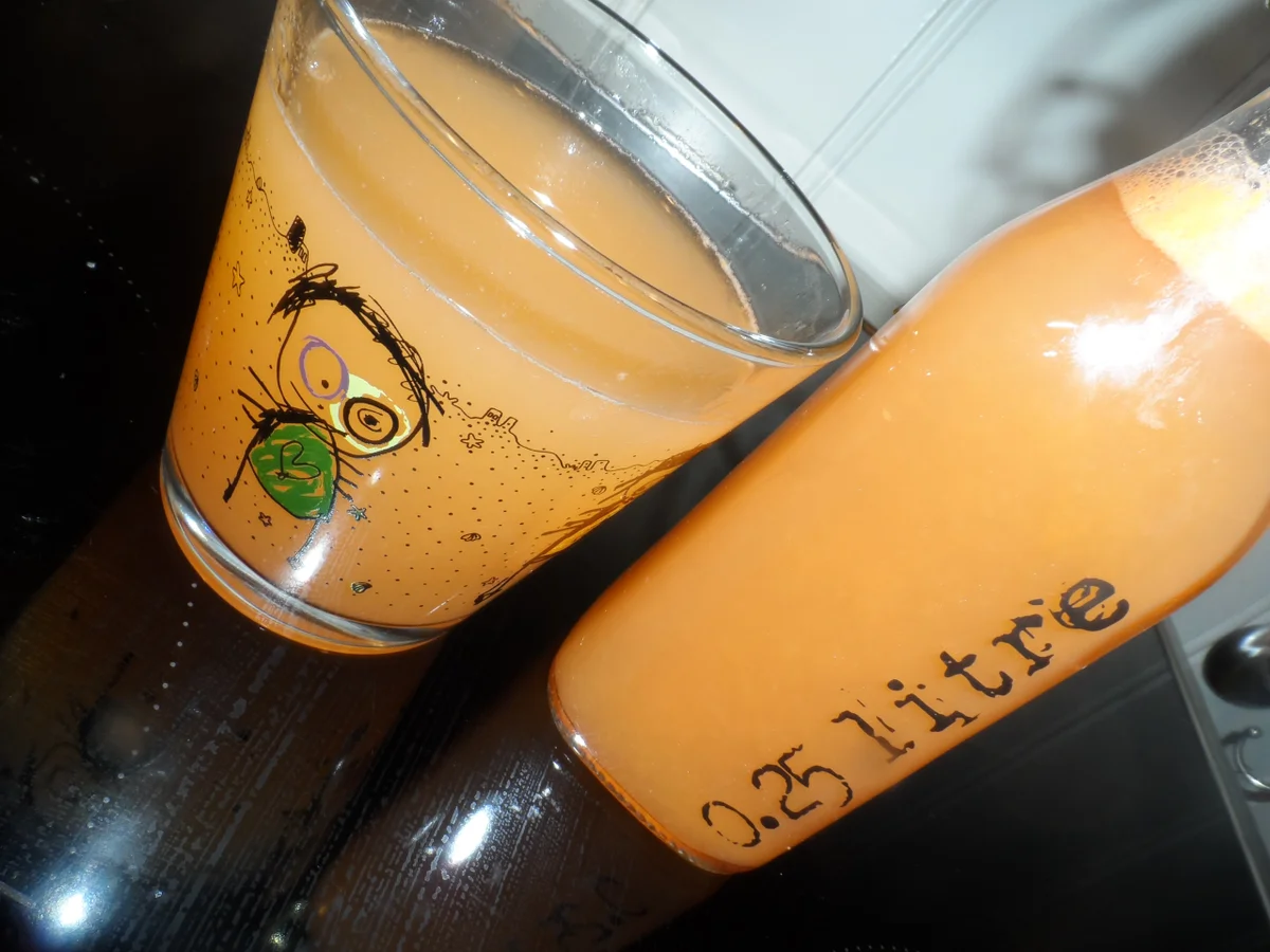 Rezept: BiNe` S GRAPEFRUITSIRUP Bild Nr. 3964 BiNe` S GRAPEFRUITSIRUP - Rezept - Bild Nr. 3964