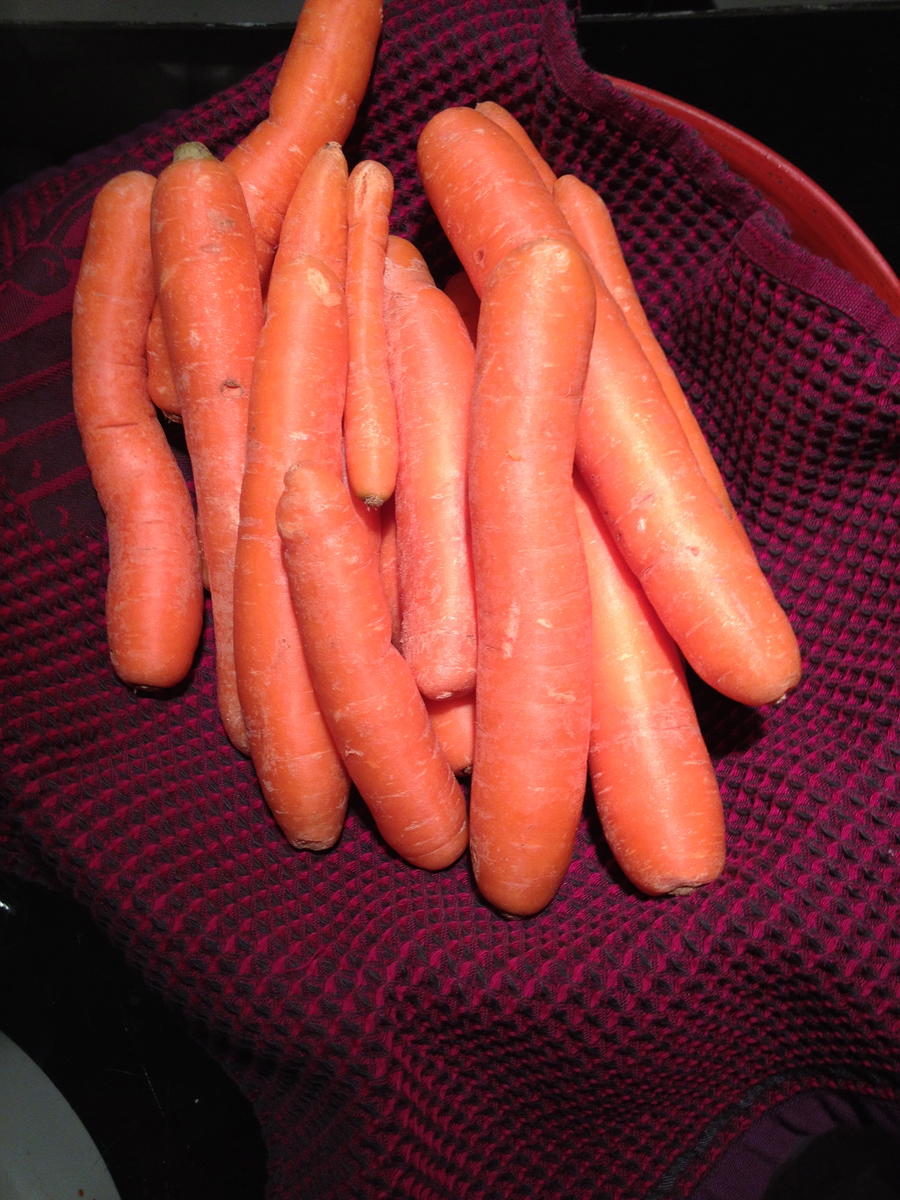 Karottencremesuppe mit Ingwerhaube - Rezept - Bild Nr. 4017