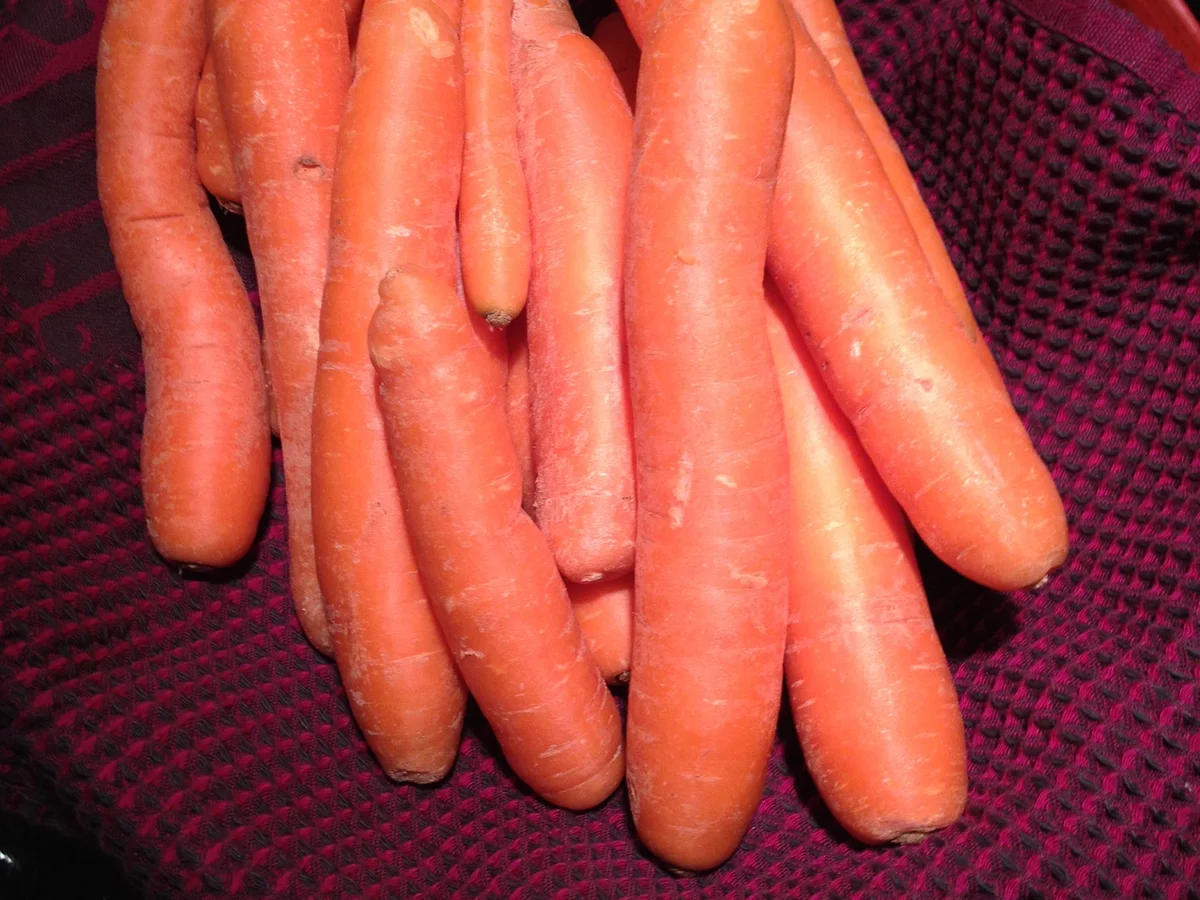 Karottencremesuppe mit Ingwerhaube - Rezept - Bild Nr. 4017