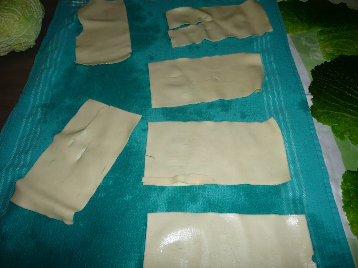 Wirsing - Cannelloni gefüllt mit Kasseler ! - Rezept - Bild Nr. 4341