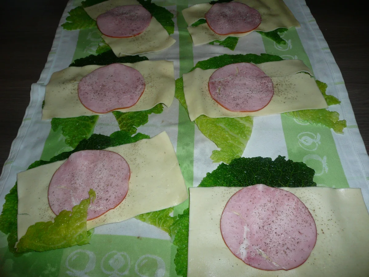 Wirsing - Cannelloni gefüllt mit Kasseler ! - Rezept - Bild Nr. 4342