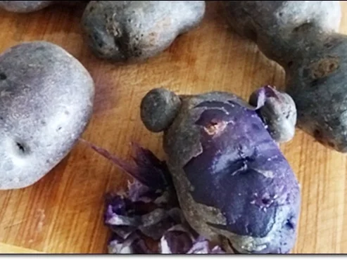 Hokkaido-Trüffelkartoffel-Cremesuppe in doppelwandigen Gläsern  serviert. - Rezept - Bild Nr. 4024