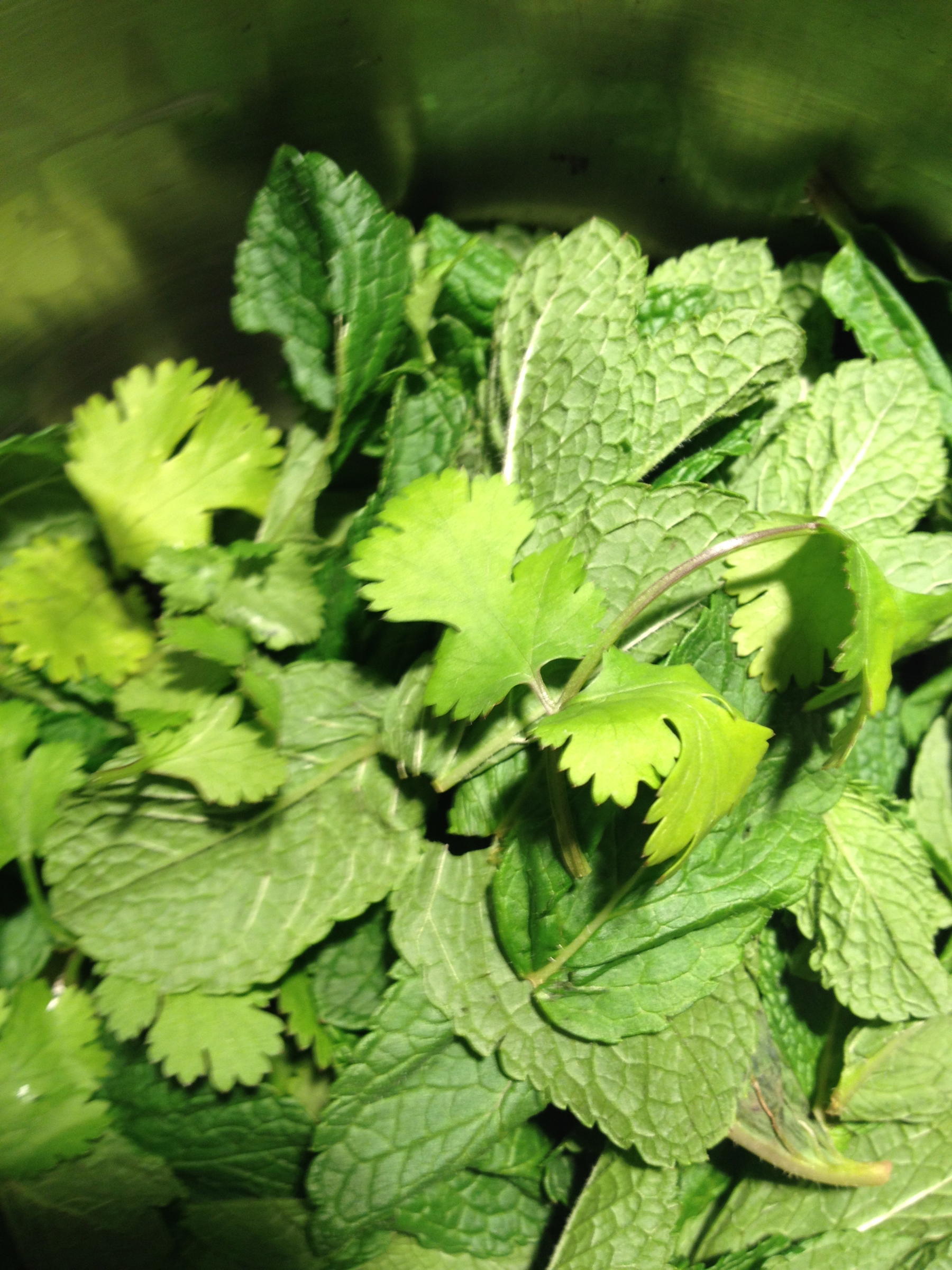 Bilder für Mint - Korianderchutney - Rezept