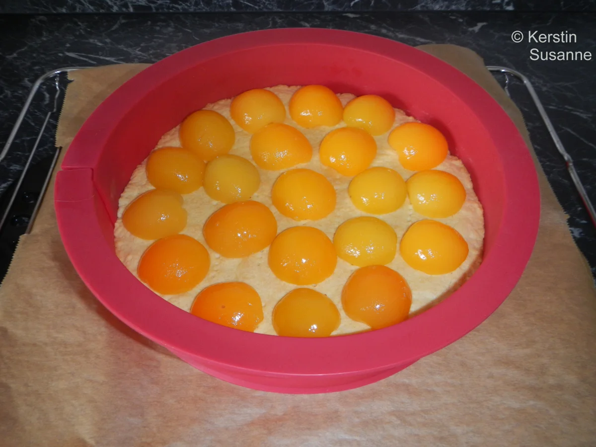 Aprikosen-Schmand-Kuchen - Rezept - Bild Nr. 10700