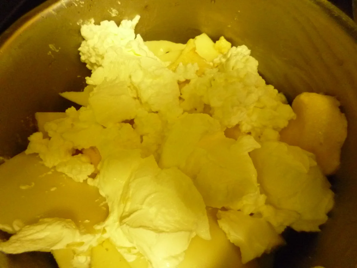 Rezept: Kunstkäse zum schnellen überbacken Bild Nr. 4061 Kunstkäse zum schnellen überbacken - Rezept - Bild Nr. 4061