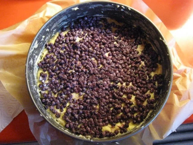 Rührkuchen mit Heidelbeeren und Schmand - Rezept - Bild Nr. 4063