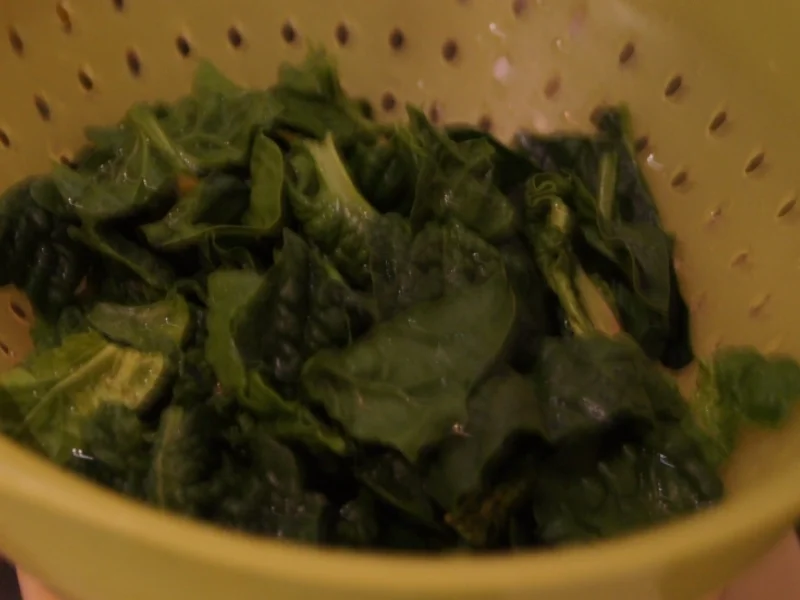 Spinat- Omelett - Rezept - Bild Nr. 4054