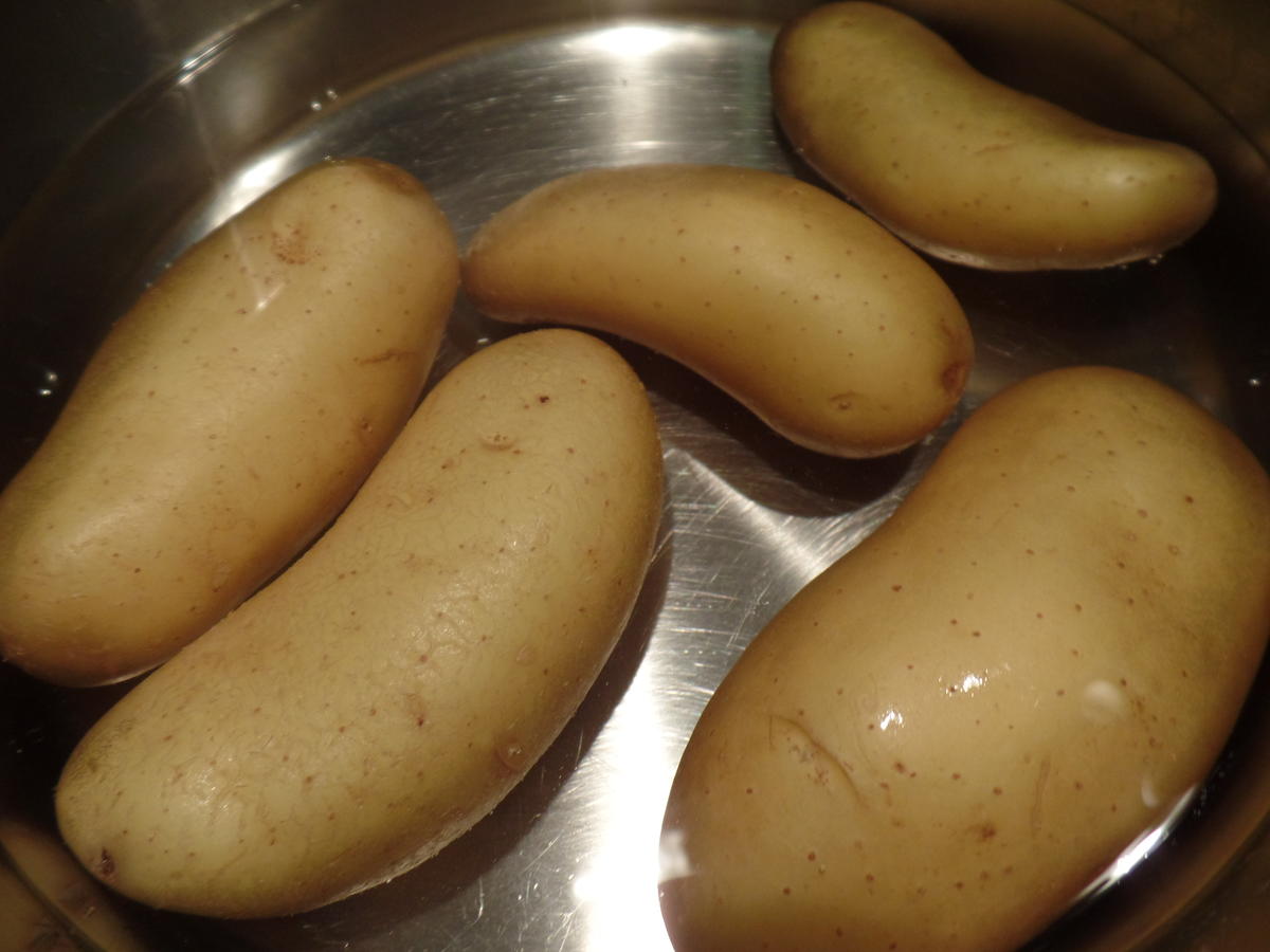 Kartoffelgratin mit Ziegenkäse - Rezept - Bild Nr. 4067